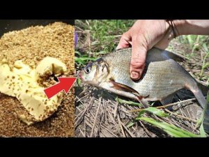 Рыба обожает это! Добавляйте больше в прикормку! Лещ карп карась приплывут за километр!