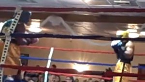 Golden Gloves Boxing