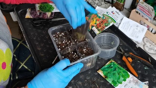 ОГОРОД на подоконнике в зимний период. Несколько способов посевов