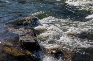 р.Золотой Китат.Яйский район.Кузбасс. 29.09.2021.mp4