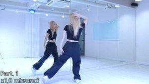 BLACKPINK - 'Shut Down' 안무배우기|Dance Tutorial