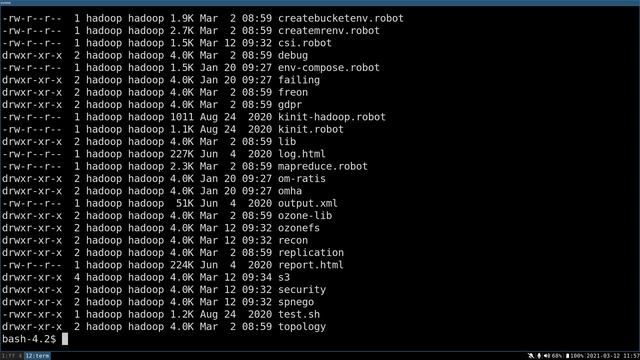 Ozone Development 7.: Ozone & Robotframework смотреть онлайн