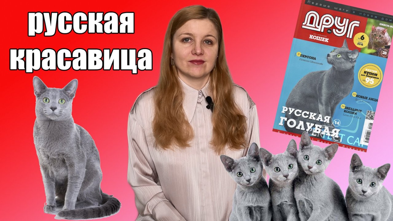 Русская голубая кошка. История и особенности породы