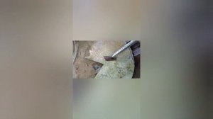 дымоход в гараже проход через потолок гильза зонтик на трубу буржуйки