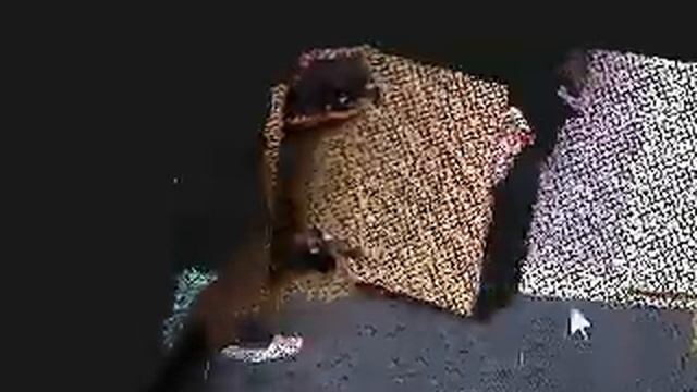 pointcloud2 смотреть онлайн