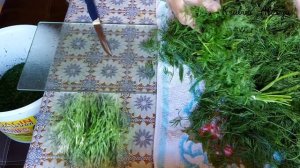 Как быстро нарезать много укропа??? Для заморозки. Заготовка на зиму.