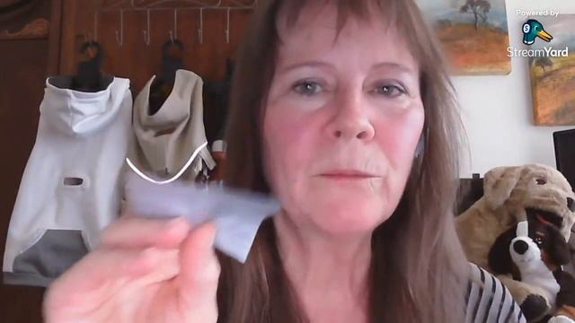 My Favourite Dog Coat Fabrics смотреть онлайн