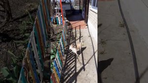 Флаг на даче.