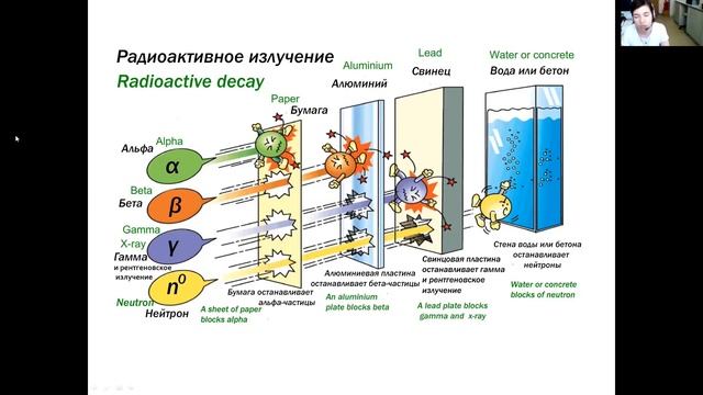 Лекция Натальи Шилягиной «Радиация. Мифы и реальность» смотреть онлайн
