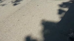 Замена передних стоек Ford fusion и сколько я проехал на лопнутой пружине