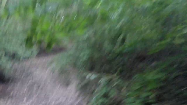 Дружеская покатушка под Абинском 23.09.17 смотреть онлайн