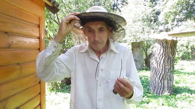 Безрасплодный период в жару - эффект термокамеры. 19.08.2017 г. смотреть онлайн