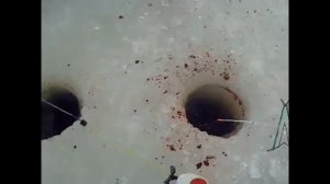 Кравотынь... Селигер.