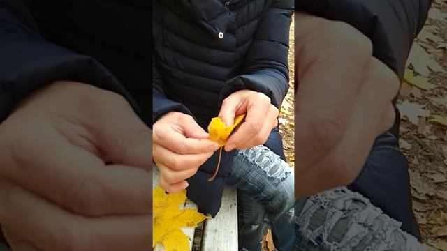 Роза из кленовых листьев смотреть онлайн