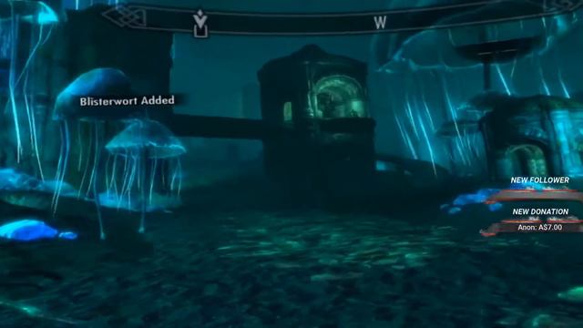 Skyrim VR/with mods # 6 смотреть онлайн