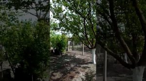 Утро Шелковской