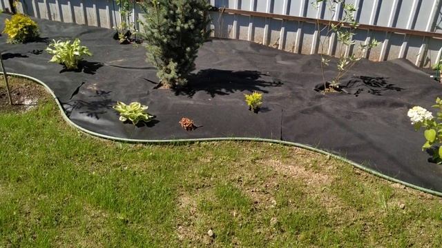 Создание миксбордера своими руками❤️ смотреть онлайн