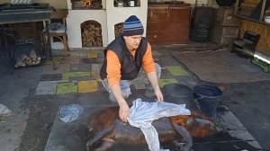 Как опалить соломой и разделать свинью 1 часть How to singe with straw and butcher a pig