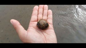 Рыбалка в Магаданской области!