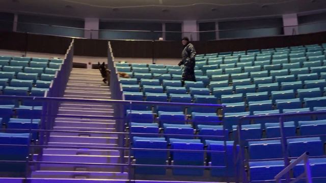 МХК «Чайка» в Казахстане смотреть онлайн