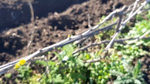 Работы на Май 2021г