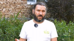 Китайский чай улун. Азбука Чая