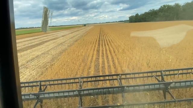 УБОРКА СЕМЕННЫХ УЧАСТКОВ ✅ ПЕРВАЯ СИРЕЛИЯ … смотреть онлайн