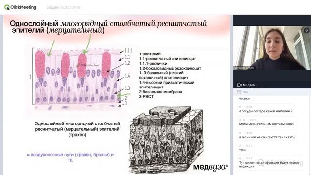 Эпителиальные ткани | Общая гистология | Медвуза смотреть онлайн