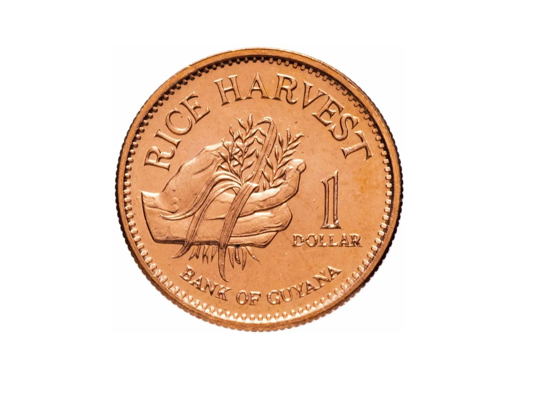 Самый маленький и дешевый в мире доллар. Монета Гайаны 1 доллар 2012 год. Прикольно.