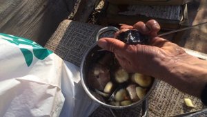 Шашлык из африканского клариевого сома