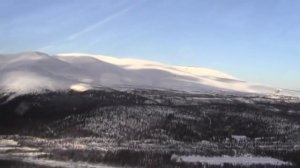 Зимний полет Птенец 2