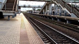 Фирменный экспресс ЭД4М 0445 "Наше Подмосковье". Станция "Голутвин".