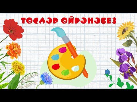 БӘБИ СҮЗ: төсләр өйрәнәбез / Учим цвета / Learn colors