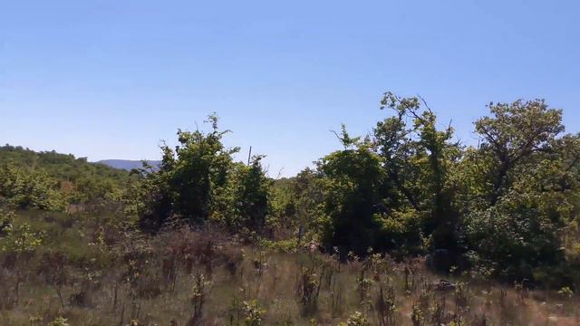 Продажа в Алуште участка 8 соток с панорамным видом на море и горы  + 7978 738-60-39
