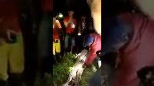 ШОК!!!НОВОСТИ!В Индонезии мужчину вырезали из тела проглотившего его питона
