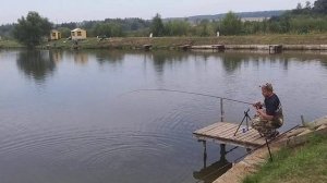 рыбалка рыбалка в подмосковье карп ловля карпа суперкарп белеутово karp fishing