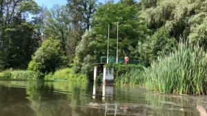 Можно ли аромат леса принести в дом?