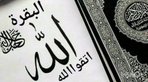 Сура АЛЬ-БАКАРА (СУРА КОРОВА) ОТ СГЛАЗА, ОТ ПОРЧИ, ДЛЯ ОЧИЩЕНИЯ ДОМА  سورة البقرة