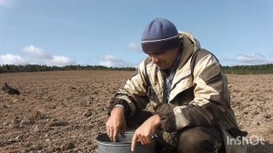 Мотоблоком на поле  камни собирать  для бани motor cultivator 1 часть