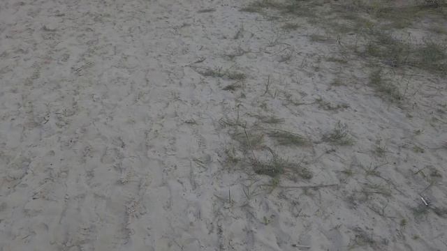 Кемпинг на Голубых озерах/Цена отдыха в палатке/Рыбалка на вечерней зорьке/У Мишки сорвалась рыба/