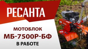 Мотоблок МБ-7500P-БФ | Ресанта