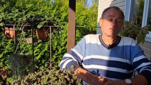 Владимирский централ, ветер северный. Заключительная часть.