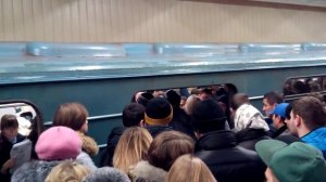 Метро Кузьминки. Посадка в поезд