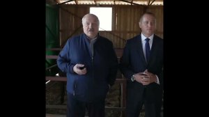 Лукашенко рассказал, как надо строить коровники: "Корове дворец не нужен!!!"