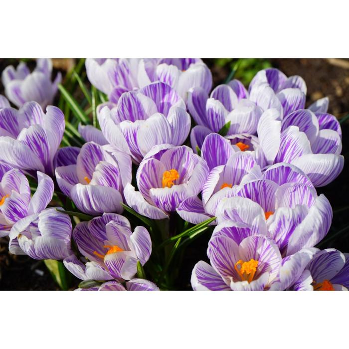 Ю.Звёздный_В.Мигуля_А.Дементьев-_А мне не надо от тебя_ (_Признание_).mp4 смотреть онлайн