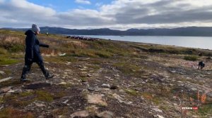 Полуострова Средний и Рыбачий. За северным сиянием! #Кольский полуостров