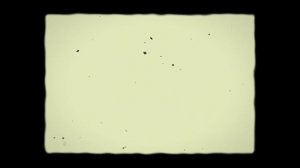 Footage & loops free HD | footage choice 0235 (эффект старой пленки)