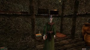 Let's Play Morrowind Ep. 17: And After Everyone Had Died