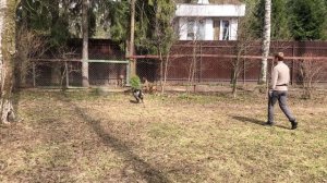 Мое мнение по поводу команды "ко мне"