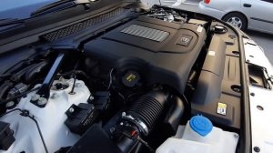 Land Rover Range Rover Autobiography 2016 года выпуска, V8 4.4 diesel 340 лошадиных сил.